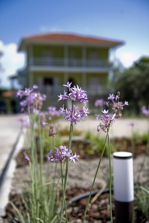 Olivegrove House Apartment Vourvourou Exterior photo